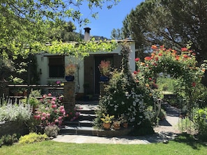 Back of house and kitchen door