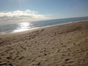 beach of the area