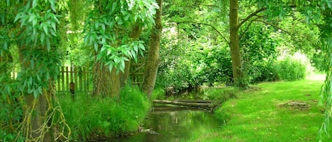 Jardines del alojamiento