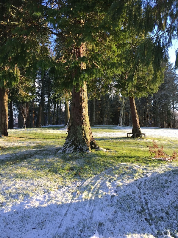 Overnatningsstedets område