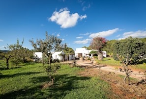 Vista general desde el campo