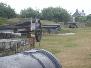 Newman House from Charles' Battery