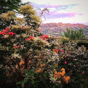 Jardines del alojamiento