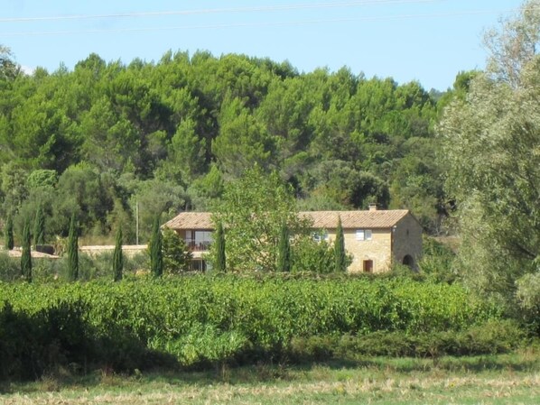 Overview