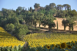 Terrain de l’hébergement 