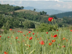 Terrain de l’hébergement 