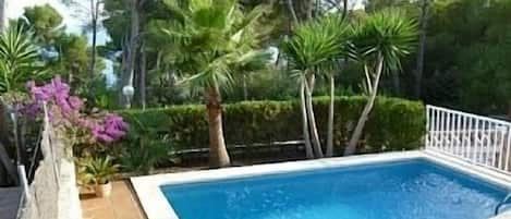 Pool and Palm Trees from Terrace