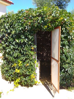 Detalj exteriör