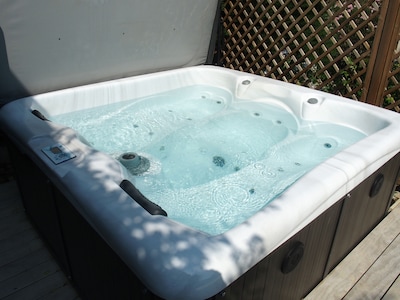 With optional private jacuzzi Holiday house in Fayence Le Sextant
