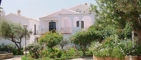 Casa Violetas