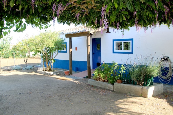 Exteriör