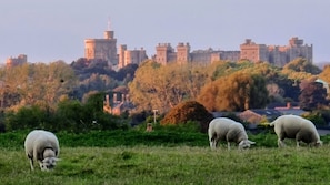 The Castle view from the Lodge