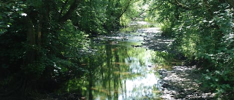 The River Carey