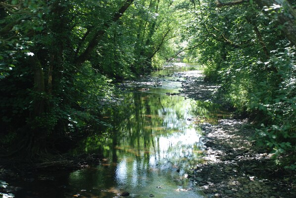 The River Carey