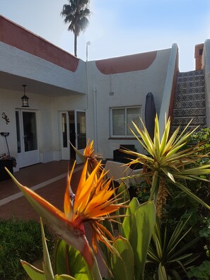 Front patio with stairs up to roof terrace