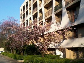 Façade ( entrée de mon immeuble)