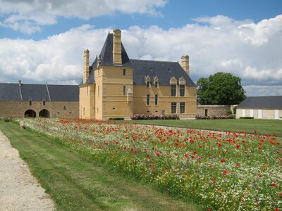 In an historical monument: Farm Manor in Bayeux