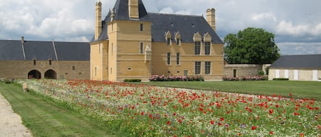 Le manoir et sa prairie fleurie