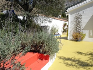 terrace and steps with lavendar