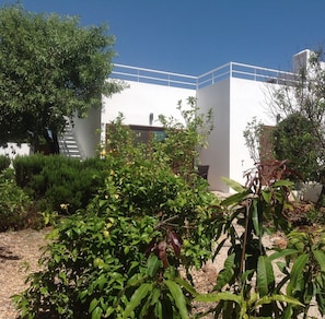 New annexe with lounge, kitchen, en-suite bedroom 3.  Steps to roof terrace.  