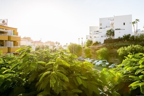view from terrace