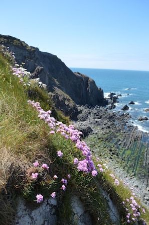 Less than 1 mile away from Marsland beach - a magical place.
