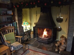 A Christmas log fire!
