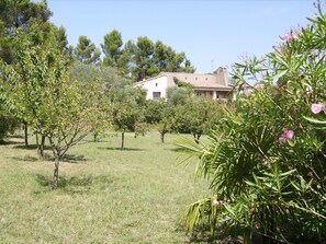 Jardines del alojamiento