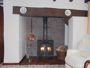 The wood burner