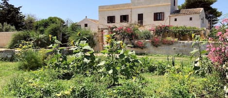 VILLA SALINARA with our organic vegetable garden