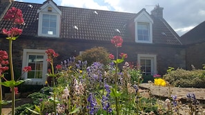 Cottage garden in the sun