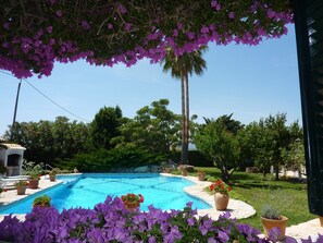 Pool View from Kitchen