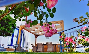 Outdoor dinning area