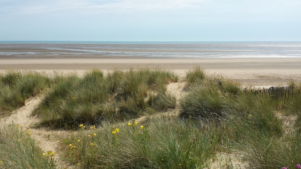 is greatstone beach dog friendly