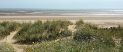 View of the beach at low tide from the back of our garden