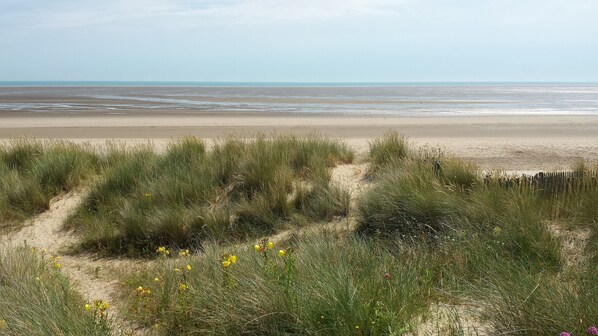 The dunes directly behind the house trough our gate