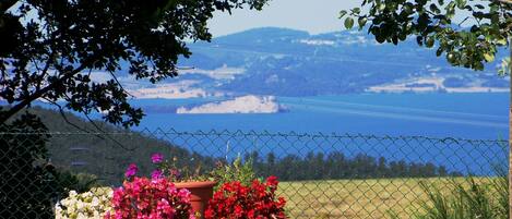 Il lago di Bolsena e l'isola Bisentina, dal bordo piscina..