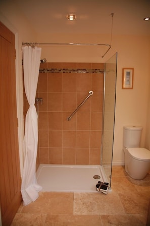 Ground floor walkin shower with mobility rails and seat.