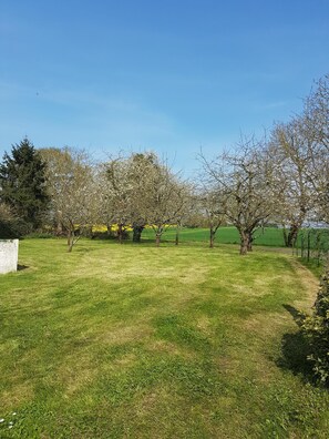 The back gardens and cherry orchard