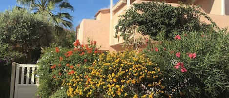 Maison 2 appartements), Calvi centre. Plage, port, tous commerces sans voiture.