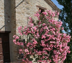 A colourful and warm welcome at your front door