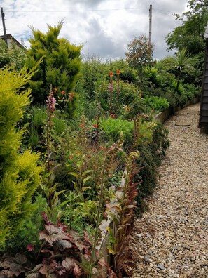 Mature flower borders