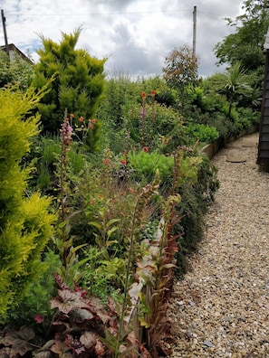 Mature flower borders