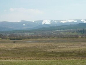 View from the decking
