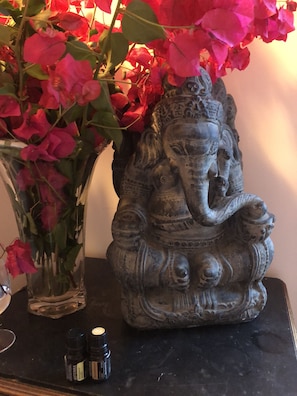 Ganesha - protecting the house🍃🌸🍃