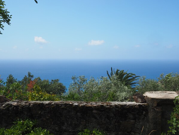 Vista para praia/oceano