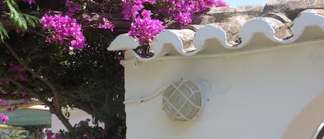 Außendetails