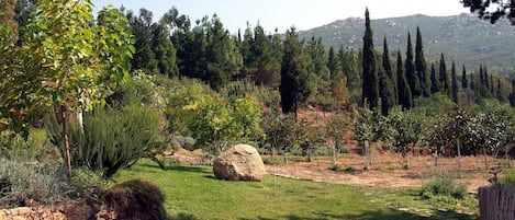 il giardino sfocia  nel frutteto recintato