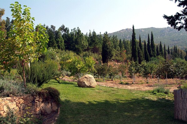 Access to the fenced orchard by the garden