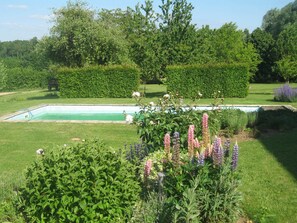 le jardin et la piscine